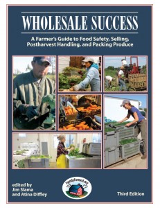 cover image for 3rd edition of Wholesale Success