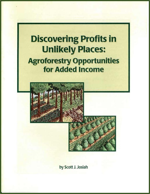 Discovering Profits in Unlikely Places Front Cover