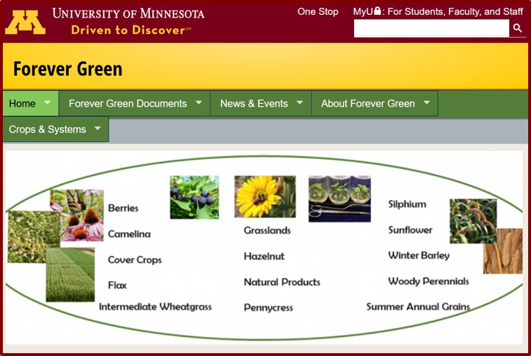 Forever Green website homepage