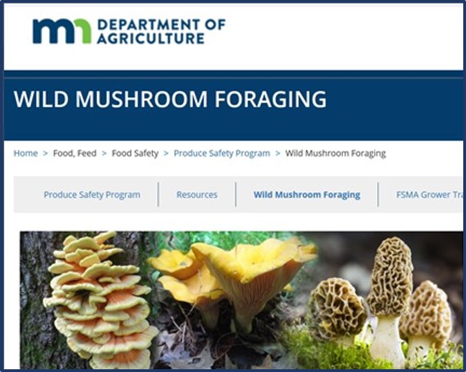 MDA wild mushroom foraging