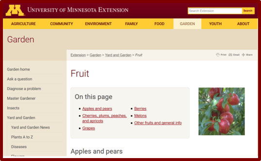 Extension Fruit Page