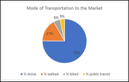 pie chart image from visitor summary