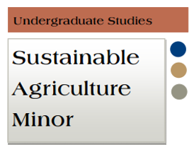 undergraduate minor image